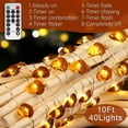 thumbnail image 4 of Acorn 10 pies alambre de plata 40 LED cadena de luces de Navidad Namotu HMHZ1947, 4 of 6