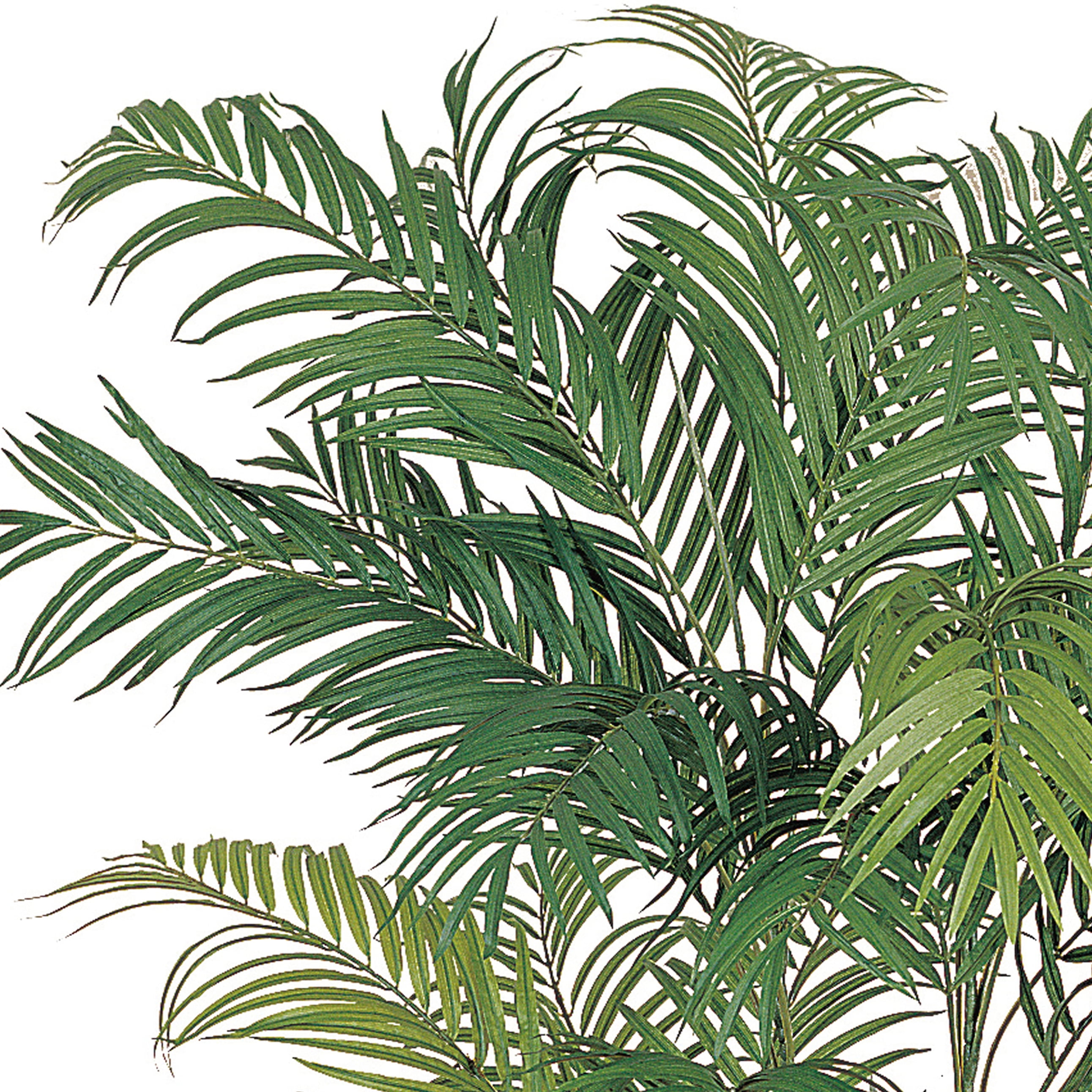 Nearly Natural 6 ft. Areca Silk Palm Tree