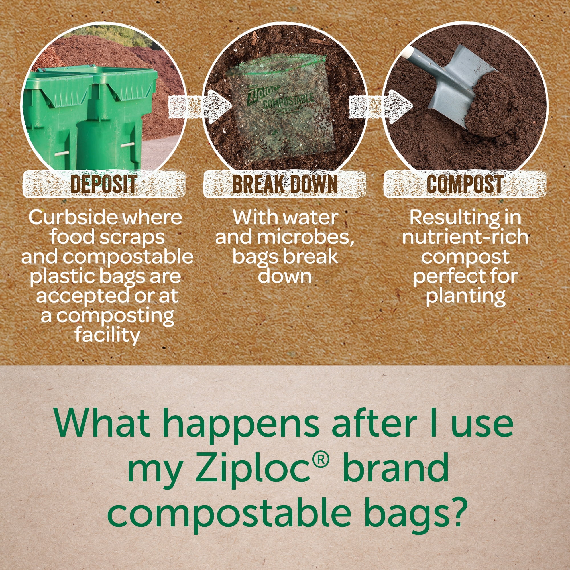 Ziploc® Compostable Sandwich Bags, Food Storage Zipper Bags, 40 Count