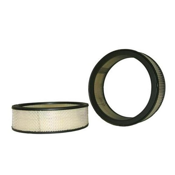 42096R Air Filter