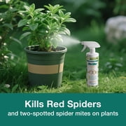 EcoVenger Mite Killer 16 OZ Spray, Kills Dust Mites, Scabies, Bird Mites, Chiggers, Poultry Mites, Spider Mites for Residential, Plant, Animals & Birds, Plant-Based and Non-Toxic