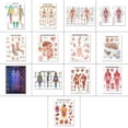 thumbnail image 2 of juego de pósters anatómicos del sistema muscular y esquelético blanche - esqueleto humano y anatomía muscular - un solo lado 19" x 27" huangjie unisex, 2 of 2