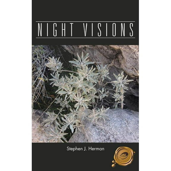 Night Visions (Hardcover)