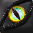 thumbnail image 3 of Caja Lentes Contacto Punk Personalidad para Ojos Estuches Regalos Halloween, 3 of 9