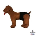 thumbnail image 4 of Barkertime Black Waterproof Premium Dog Diaper - Made in USA, 4 of 10