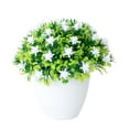 thumbnail image 2 of Trayknick Simulation Plants Potted Beautiful Lifelike Plastic Realistic Artificial Bonsai for Home White, 2 of 13