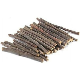 Extra Large Wood Craft Sticks, Natural, 10-inch, 10-count 