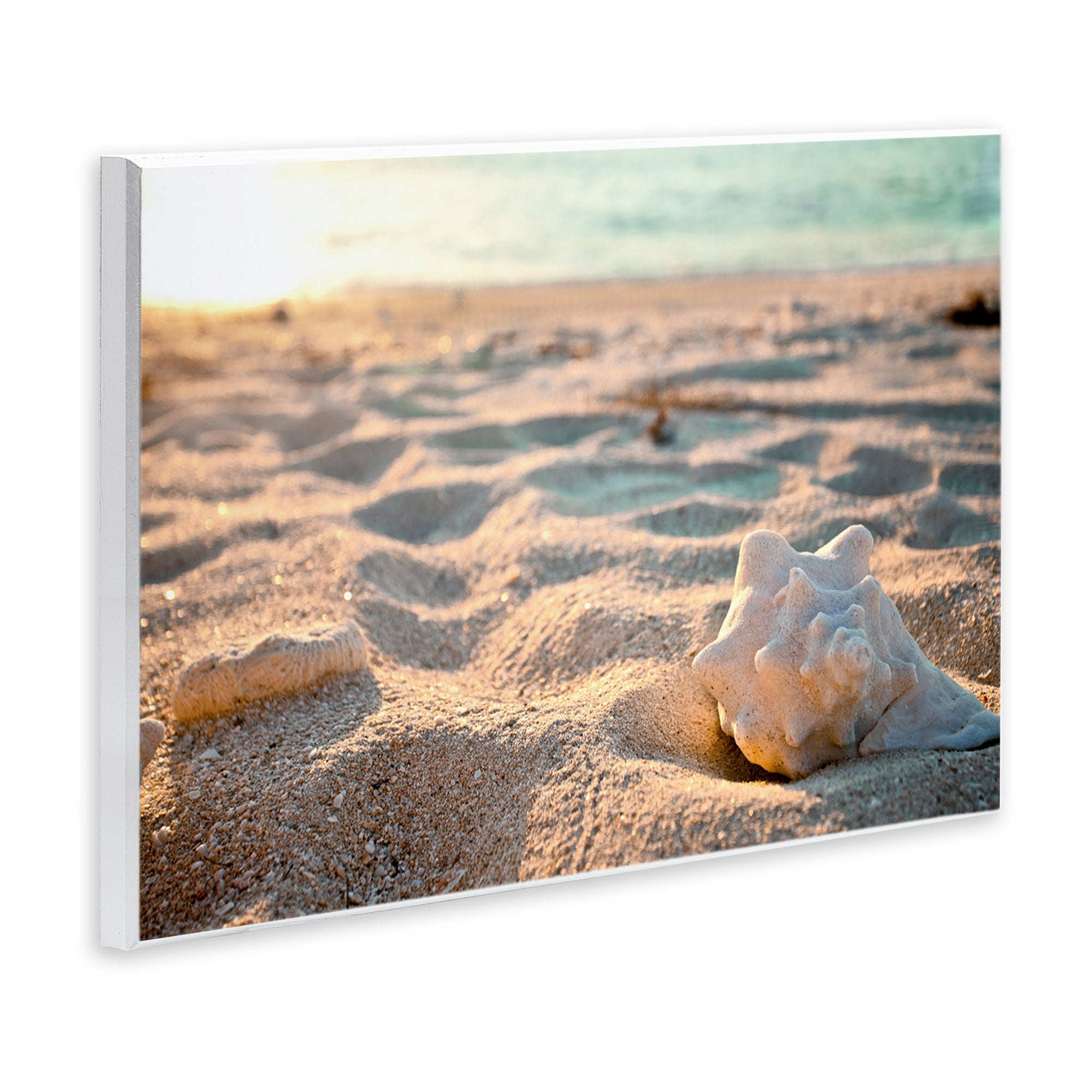 Stupell Industries Conch Shell in Sand Coastal Photography Unframed Art Print Wall Art, 15 x 10