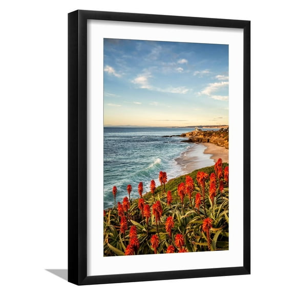 Art.com USA, California, La Jolla. Blooming aloe and Wipeout Beach Photographic Print by Ann Collins, Black Frame Wall Art, 17" x 23"