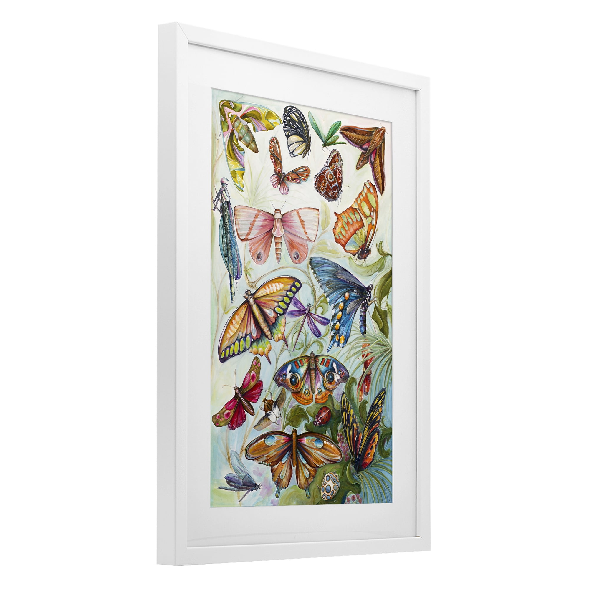 Stupell Industries Colorful Butterfly Conservatory White Framed Print Under Glass, design by Diannart