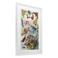 thumbnail image 2 of Stupell Industries Bohemian Colorful Butterfly Conservatory White Framed Print Under Glass, 14 x 20, by Diannart, 2 of 8