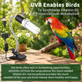 Revolving Yellow Light Yellow 360° Rotating Clip Bird Lamp Holder with 2.4% UVB Bulbs for ...