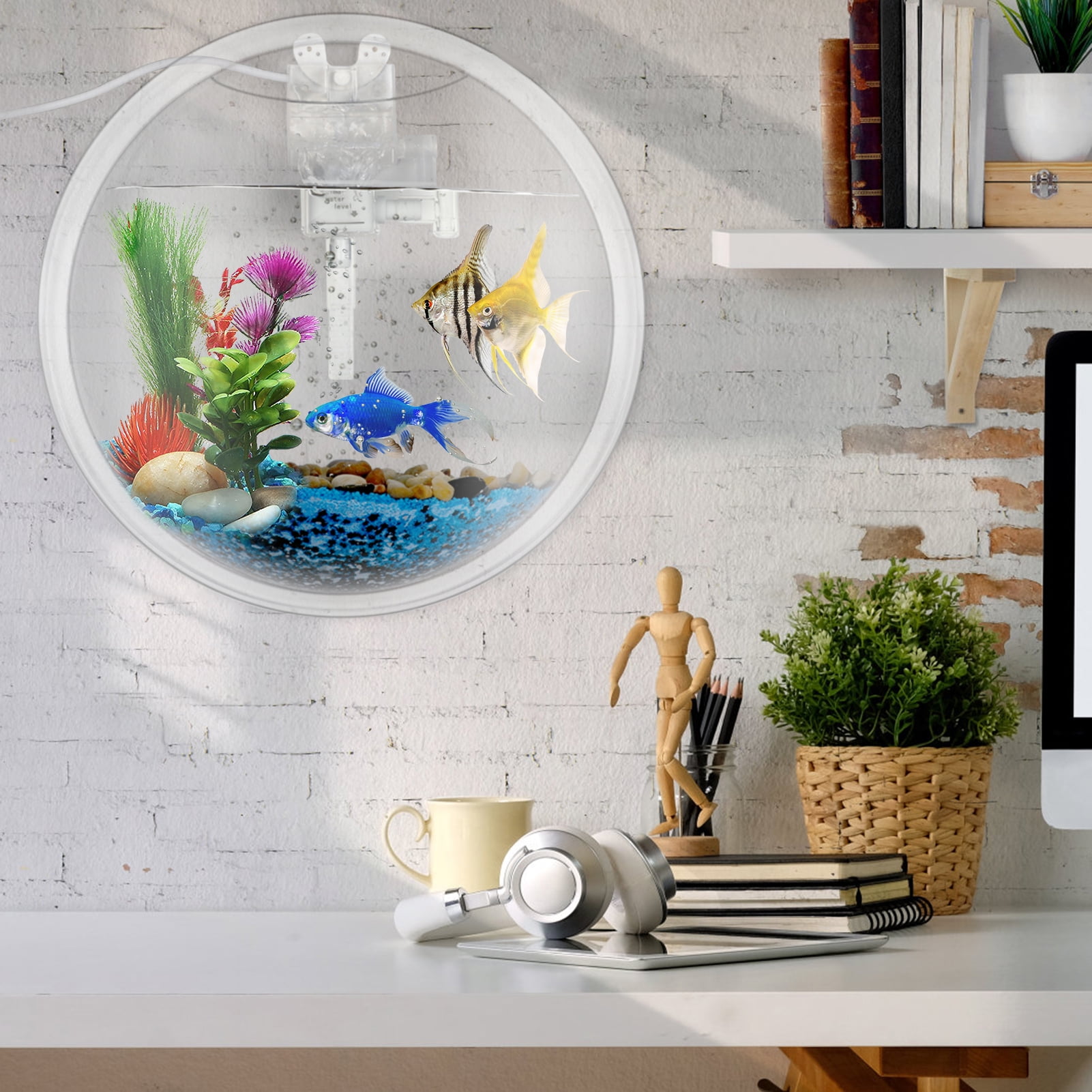 Buy Legendog Wall Mounted Aquarium Tank 1Gallon Betta Fish Bowl