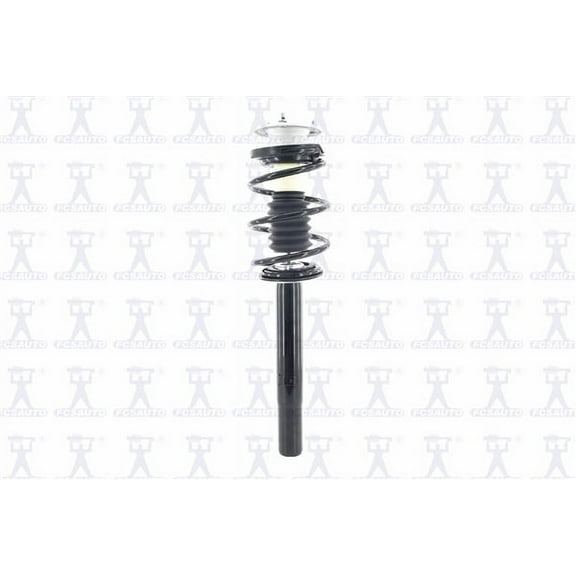 Suspension Strut and Coil Spring Assembly