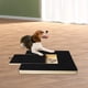 thumbnail image 1 of Almohadilla Para Rascar Para Perros, Caja De Aperitivos Integrada, Tabla Para Rascar Uñas De Madera Duradera, Cuidado De Uñas Yinane Bloc de notas, 1 of 8