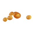 thumbnail image 2 of BQLZR Colle Animale Ambre 60G pour Guitare, Luthier, Colle pour Cuir pour Facteur de Violon, 2 of 5
