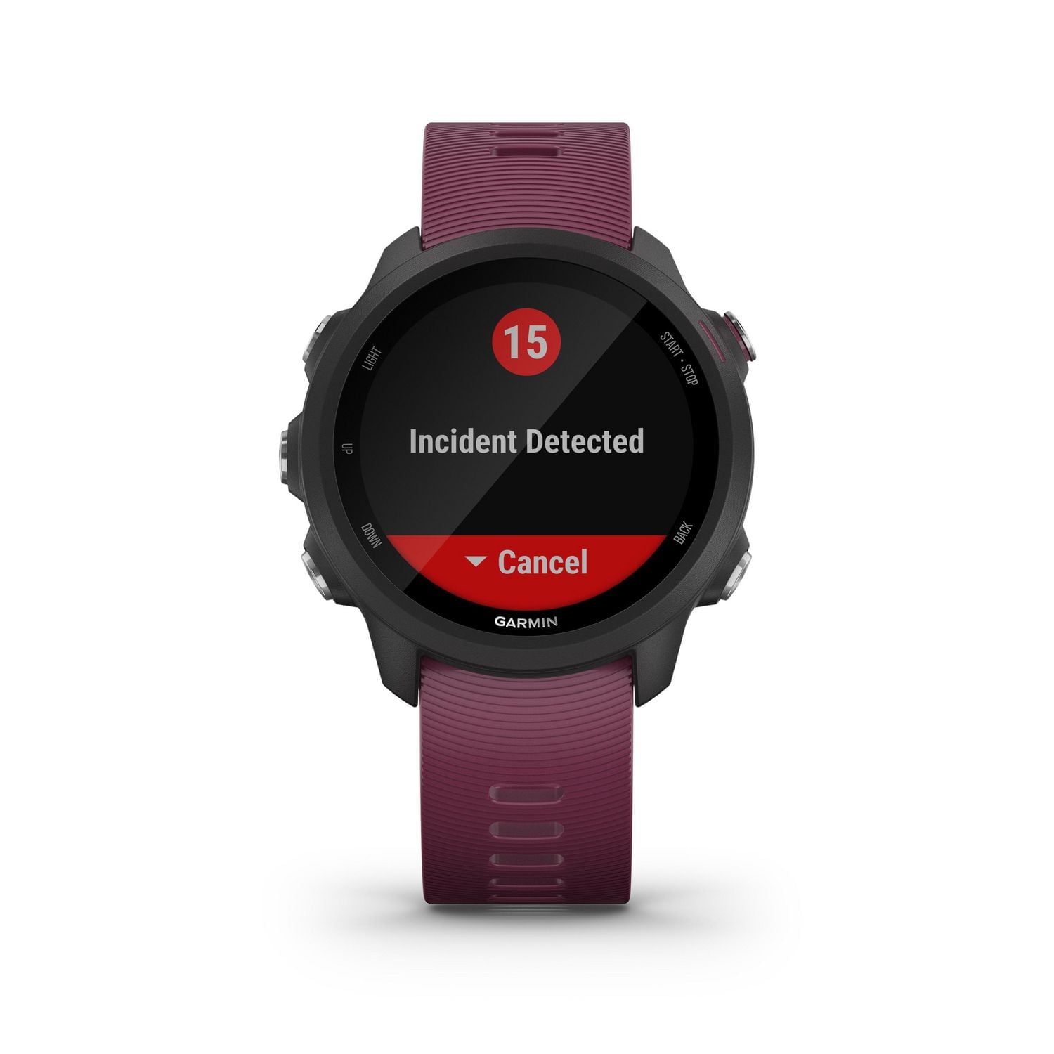 Garmin Forerunner 245 GPS Running Smartwatch and Fitness Tracker