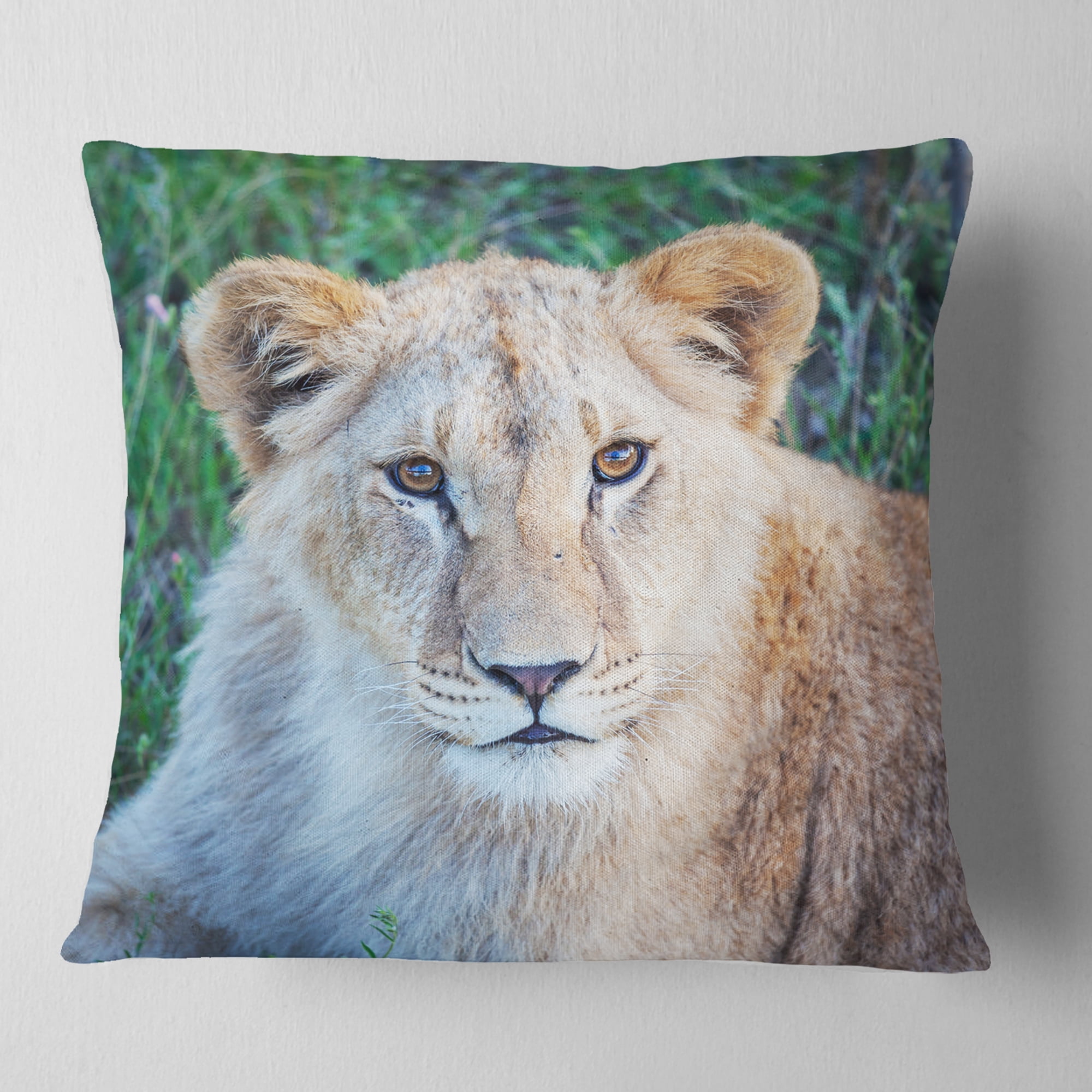 Designart Large Lion Relaxing in Forest - African Wall Throw Pillow - 16x16