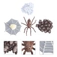 thumbnail image 2 of Miangastore 1 Ensemble de Simulation Modèle d'Évolution d'Animal Jouet Modèle Décorations de Fête pour Enfants, 2 of 8