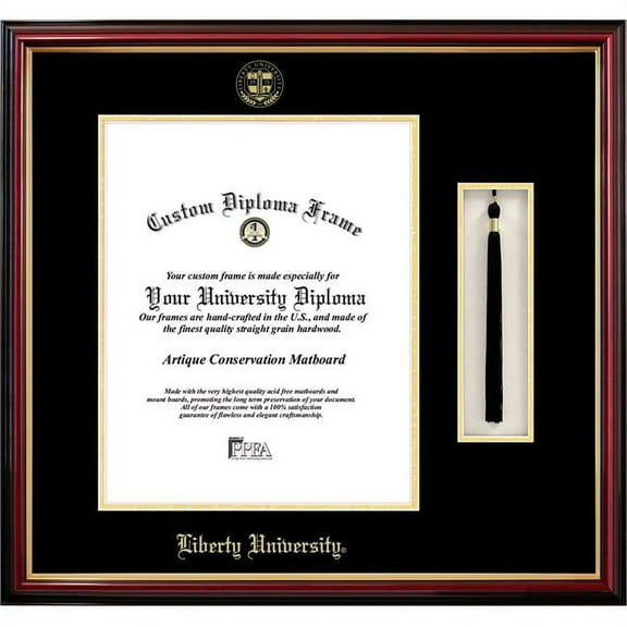 Campus Images VA989PMHGT-1417 14 x 17 in. Liberty University Tassel Box & Diploma Frame - Lacquer