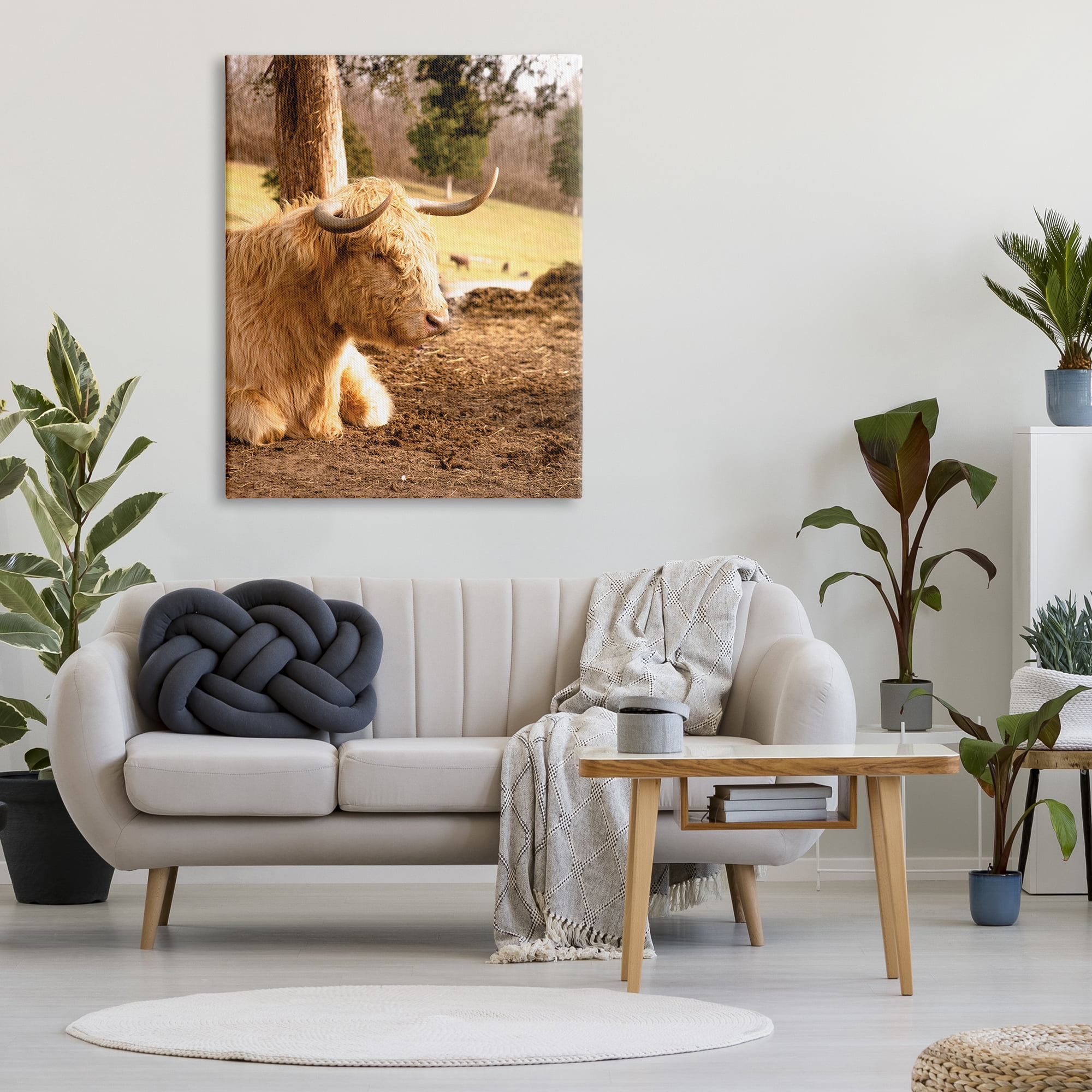 Stupell Industries Relaxing Cattle Lying Beneath Tree Grazing Farmland Meadow Photograph Gallery Wrapped Canvas Print Wall Art, Design by Donnie Quillen