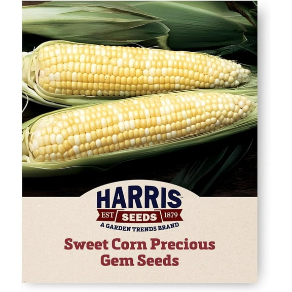 Harris Seeds Precious Gem Sweet Corn, Non-GMO Hybrid, 1,000 Count