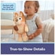 thumbnail image 5 of Peluche GUND Bingo Sustainably Soft con forma de animal de peluche, 33 cm, color naranja, 5 of 9