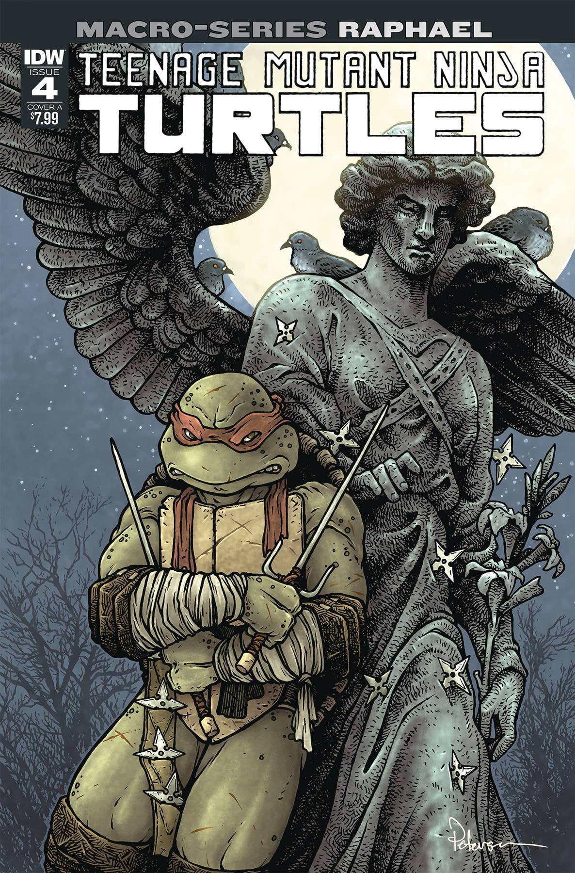 IDW Teenage Mutant Ninja Turtles Micro-Series #1 Raphael Comic Book