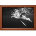 thumbnail image 2 of Humpback Whale Calf Playing on the Surface, Tonga, Animals Framed Art Print Wall Art by Wildestanimal Sold by Art.Com, 2 of 5
