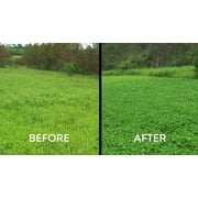 Whitetail Institute Slay Herbicide-4 Oz