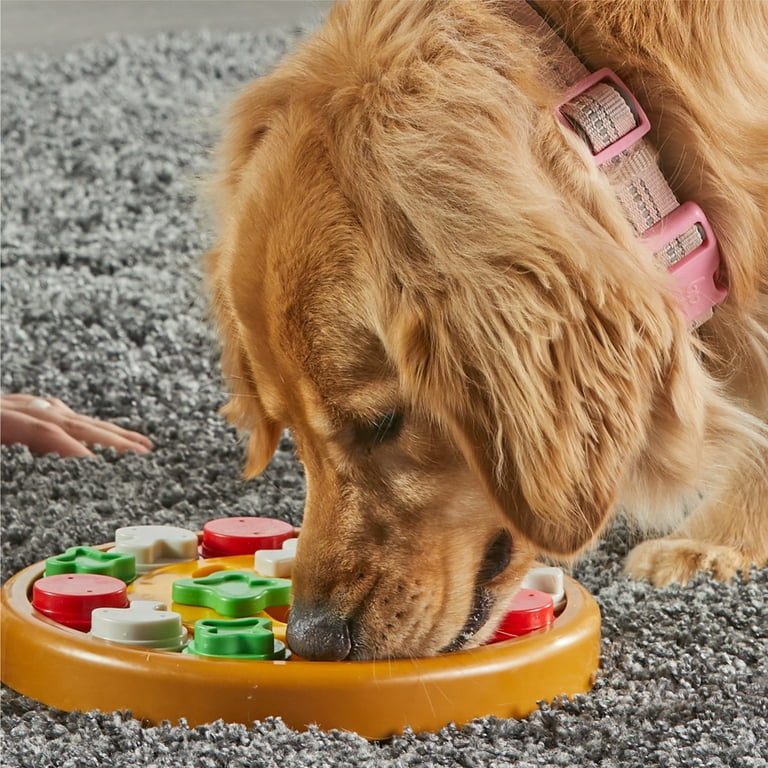 Brightkins Pizza Party! Dog Toy Treat Puzzle, Multi-Color Food