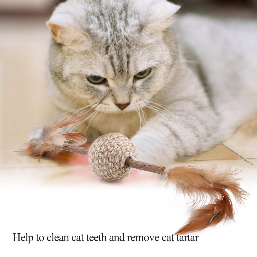 Pet Snack Cat Chew Stick Treat Toy Catnip Molar Food Cat Mint