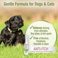 thumbnail image 2 of Four Paws Pet Aid 8 oz Medicated Anti-Itch Spray Remedy for Dogs and Cats, 2 of 8