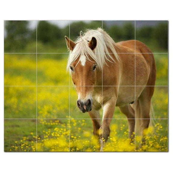 Horse Ceramic Tile Mural Kitchen Backsplash Bathroom Shower, 402826-S54