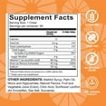 thumbnail image 5 of Celebrate Vitamins 45 mg Iron + Vitamin C Soft Chews - Cherry Burst - 90 count, 5 of 5
