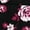 Black Rose Pack, variant on Plus Size Cotton/Spandex Panty 3-Pack