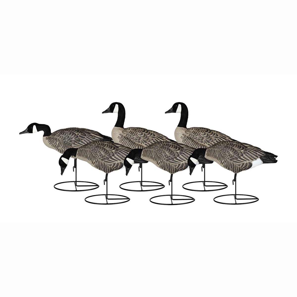 Dakota Decoys Signature Series Lesser Canada Goose Decoys 6 Pack
