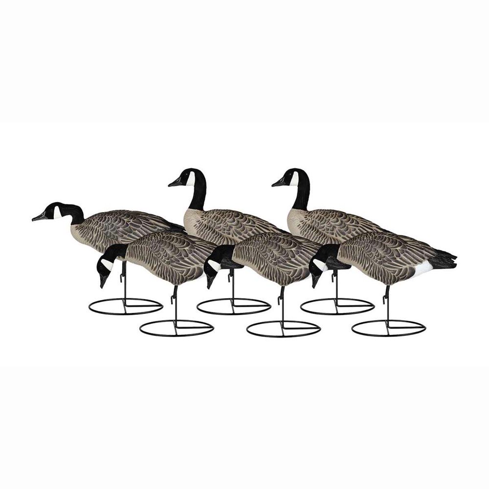Dakota Decoys Signature Series Lesser Canada Goose Decoys - 6 Pack