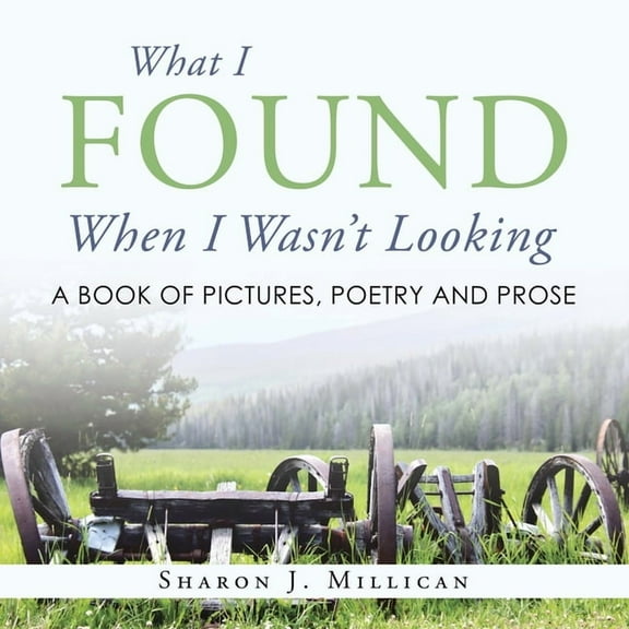 What I Found When I Wasn't Looking: A Book of Pictures, Poetry and Prose, (Paperback)