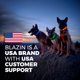 thumbnail image 3 of Collar LED para perro Blazin Light Up USB recargable a prueba de agua, 3 of 9