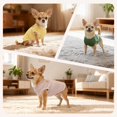 thumbnail image 3 of Pack de 3 camisas COOHAMS de punto gofrado para perros y gatos, 3 of 7