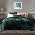 thumbnail image 1 of Juego de edredón RECYCO Luxury Velvet Full Queen con 2 fundas, color verde, 1 of 7