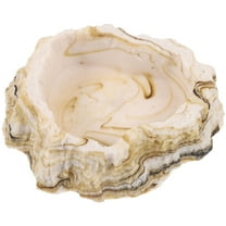 Soimiss Durable Resin Reptile Food Bowl Light Yellow Water Feeder Dish with Spill Proof Structure for Pets