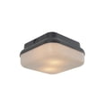 thumbnail image 7 of Craftmade Lighting - Resilience - 2 Light Outdoor Flush Mount-4.5 Inches Tall, 7 of 7