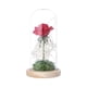 thumbnail image 1 of Matsuzay Regalo del día de San Valentín Color Hoja de oro Lámpara de flor de rosa con cubierta de vidrio Adornos de decoración Lámpara de decoración Jardín y Patio Matsuzay HA022015-00, 1 of 1