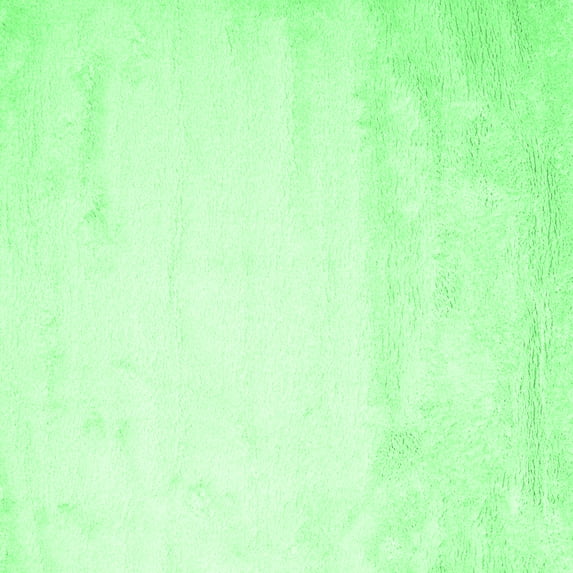 Ahgly Company Indoor Square Solid Emerald Green Modern Area Rugs, 4' Square