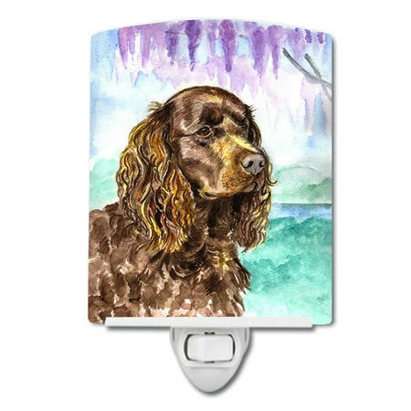 

Caroline s Treasures 7008CNL Water Spaniel Ceramic Night Light 6x4x3 multicolor