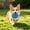 Blue, variant on Soft Plush Dog Toys Aggressive Chewers, Hidden Squeaker Donut Stuffed Dog Toys for Boredom Relief, Long-Lasting Interactive Puppy Toys for Anxiety Relief Indoor Pets
