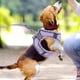 thumbnail image 5 of BRIGHTFUFU 1 Juego de arnés para mascotas, arnés con correa para perros, conjunto de arnés para mascotas pequeñas, correa decorativa para mascotas (M), 5 of 7