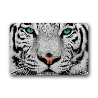 Winhome Blue Eyes of Snow Leopard Doormat Floor Mats Rugs Outdoors/Indoor Doormat Size 23.6x15.7 Inches